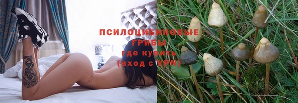 молекула духа Кодинск