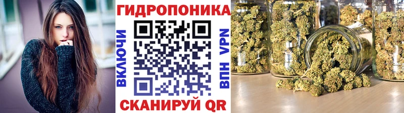 omg маркетплейс  купить закладку  Пушкино  Бошки марихуана тримм 